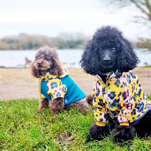 Gatto Trackie Jakke til hunde - Red & Ginger