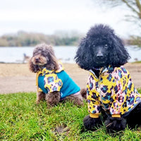 Gatto Trackie Jakke til hunde - Red & Ginger