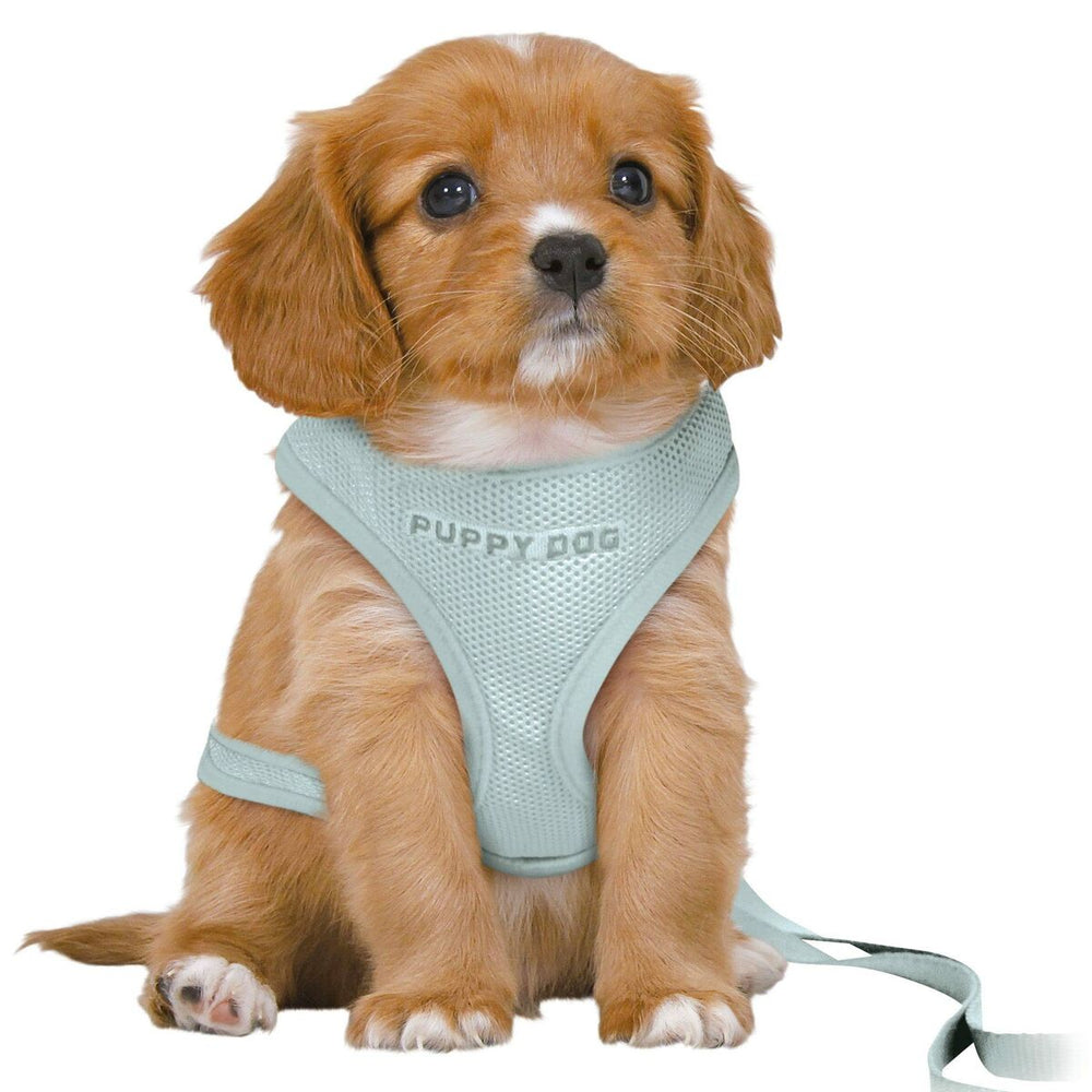 Hundesele Trixie Junior Mint M/L