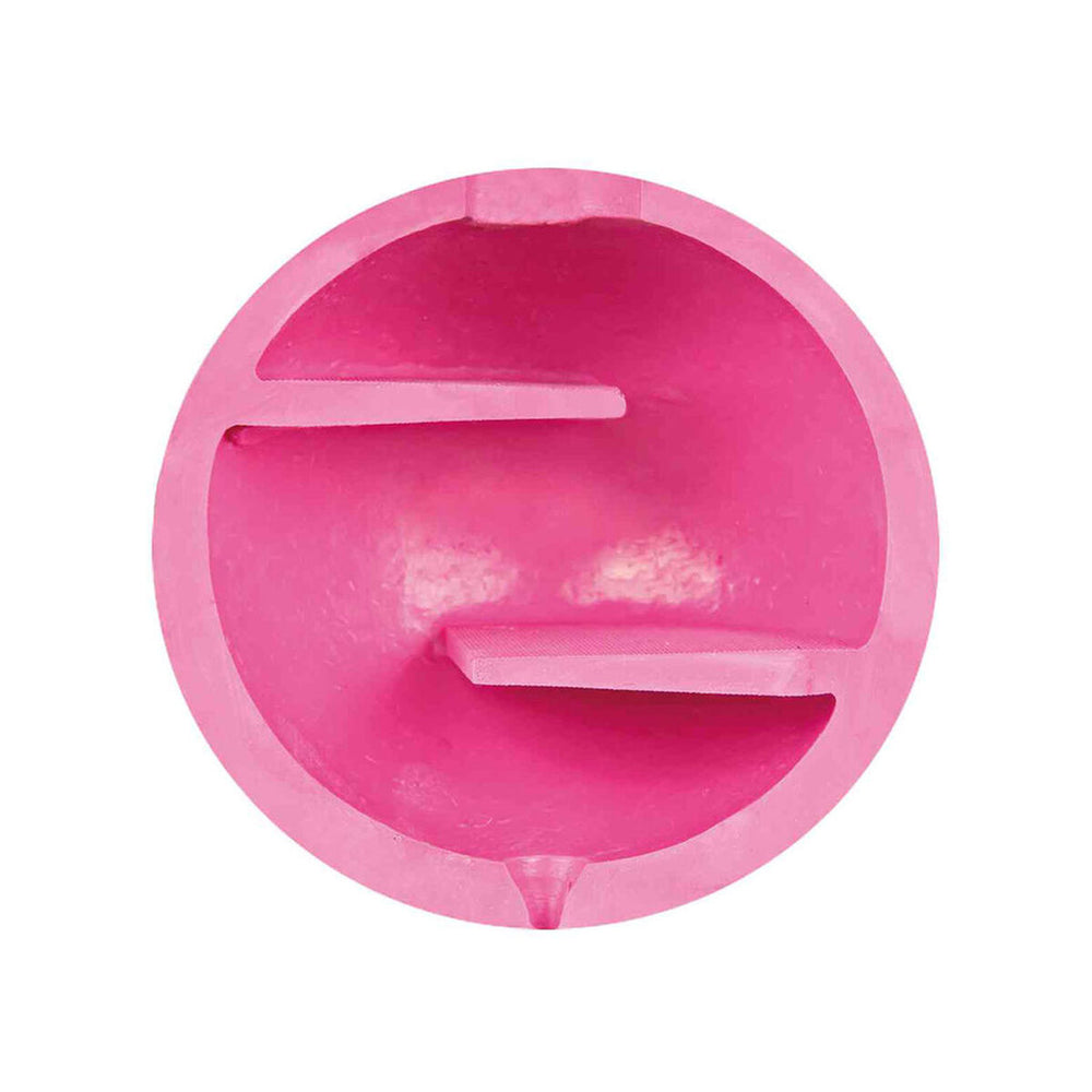 Hund Bidering Trixie