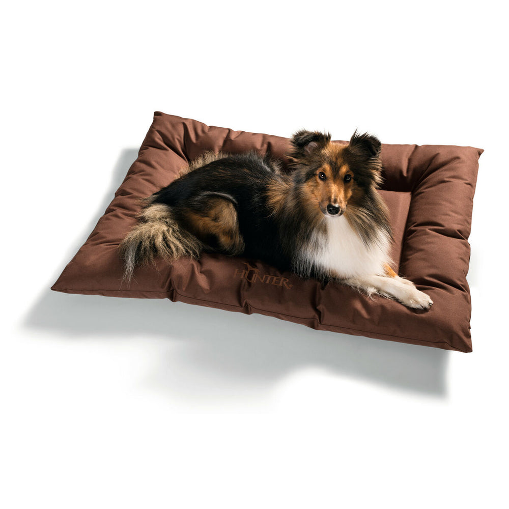 Hund Bed Hunter Gent Anti-bakterie Brun 100x70 cm