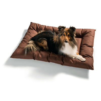Hund Bed Hunter Gent Anti-bakterie Brun 100x70 cm