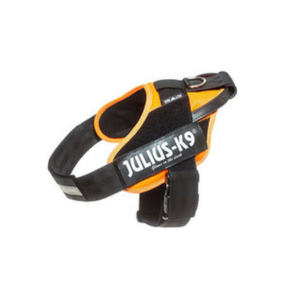 Hundesele Julius K9 IDC Orange L/XL 2 71-96 cm
