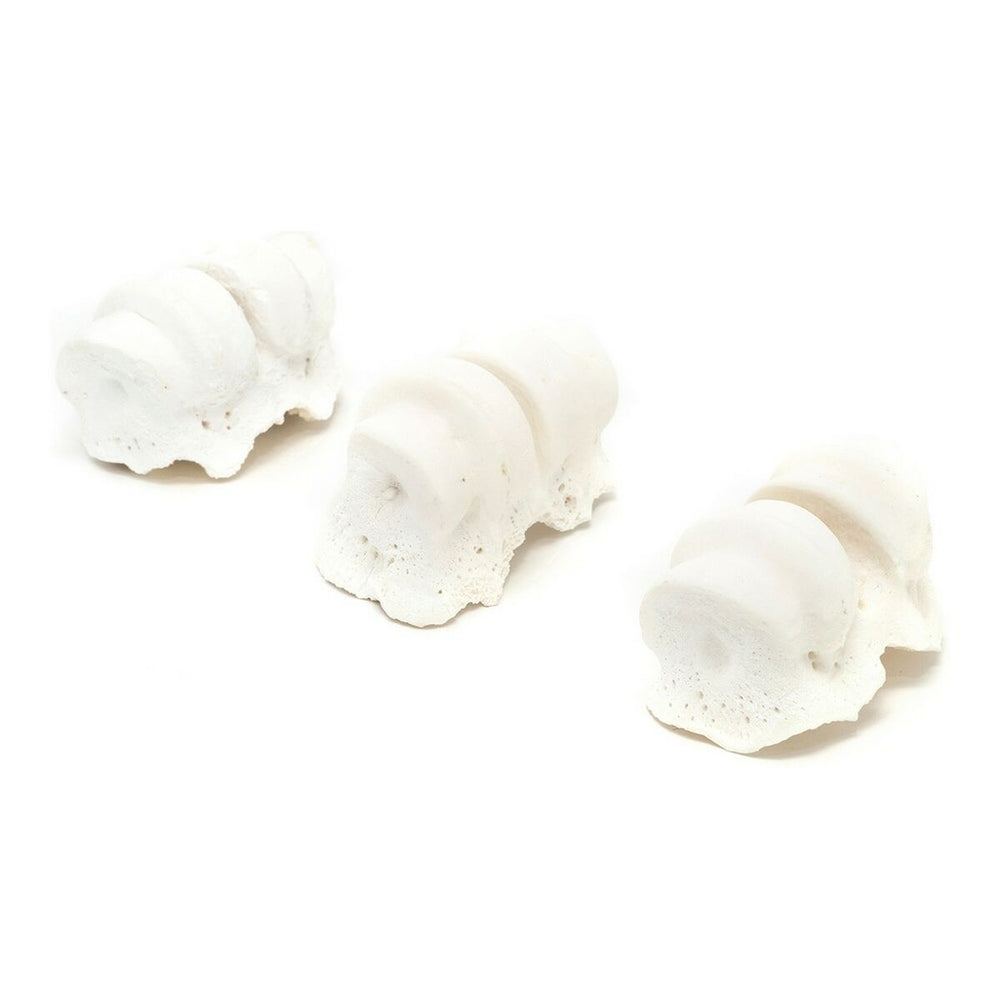 Hundesnack Gloria Oksekød Kalk Knuckles