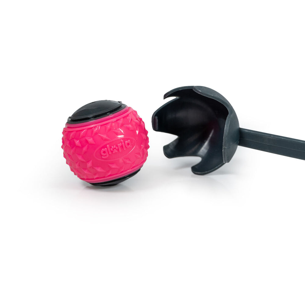 Boldkaster til hunde Gloria Grå polypropylen TPR M