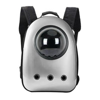 Moderne Katterygsæk med Panorama-vindue – Sølv